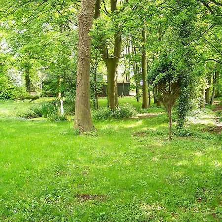 Old Presbytery Guest house Tadcaster
